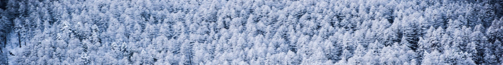 serre-chevalier-briancon-montagna-affitto-vacanze-inverno-sci-chalet-appartamento-riservazione