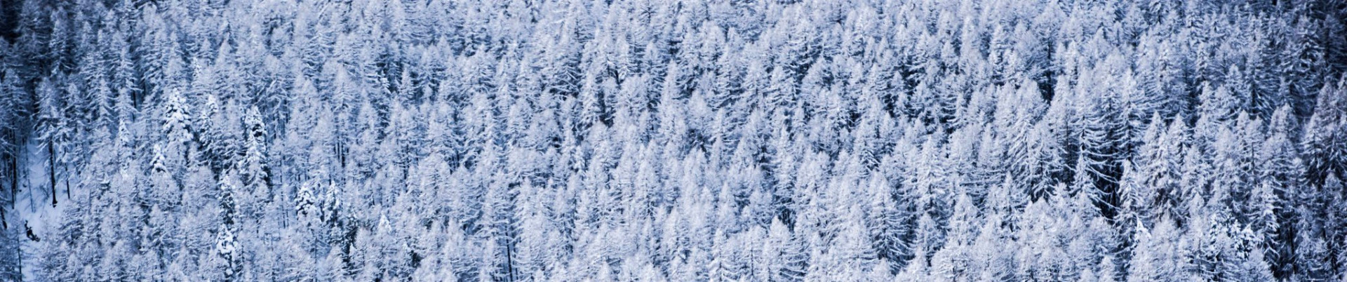 serre-chevalier-briancon-montagne-ski-location-vacances-hiver-neige-alpes