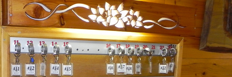 les colchiques les colchiques