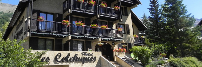 les colchiques - © les colchiques les colchiques