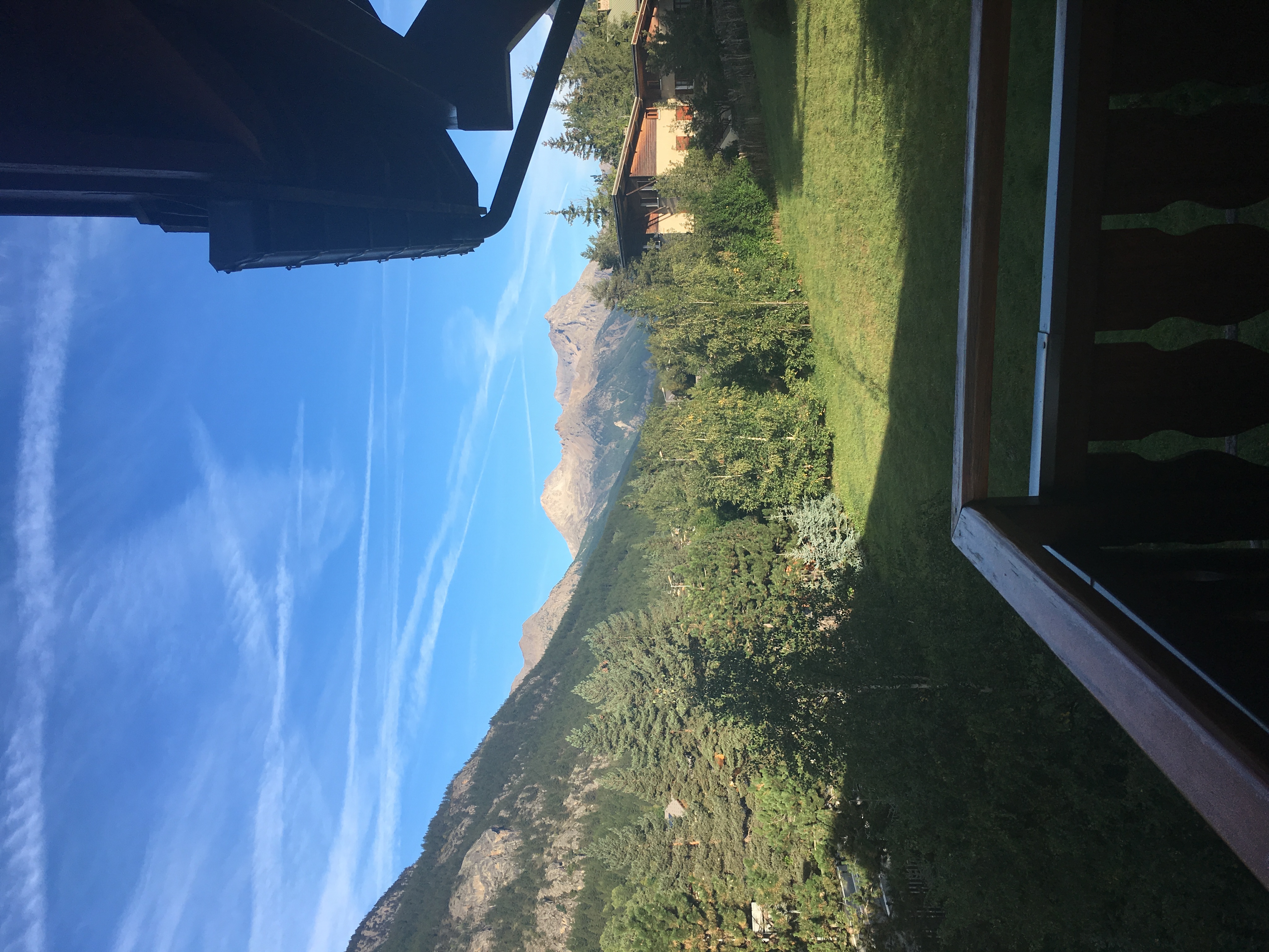 les gentianes - Duhamel