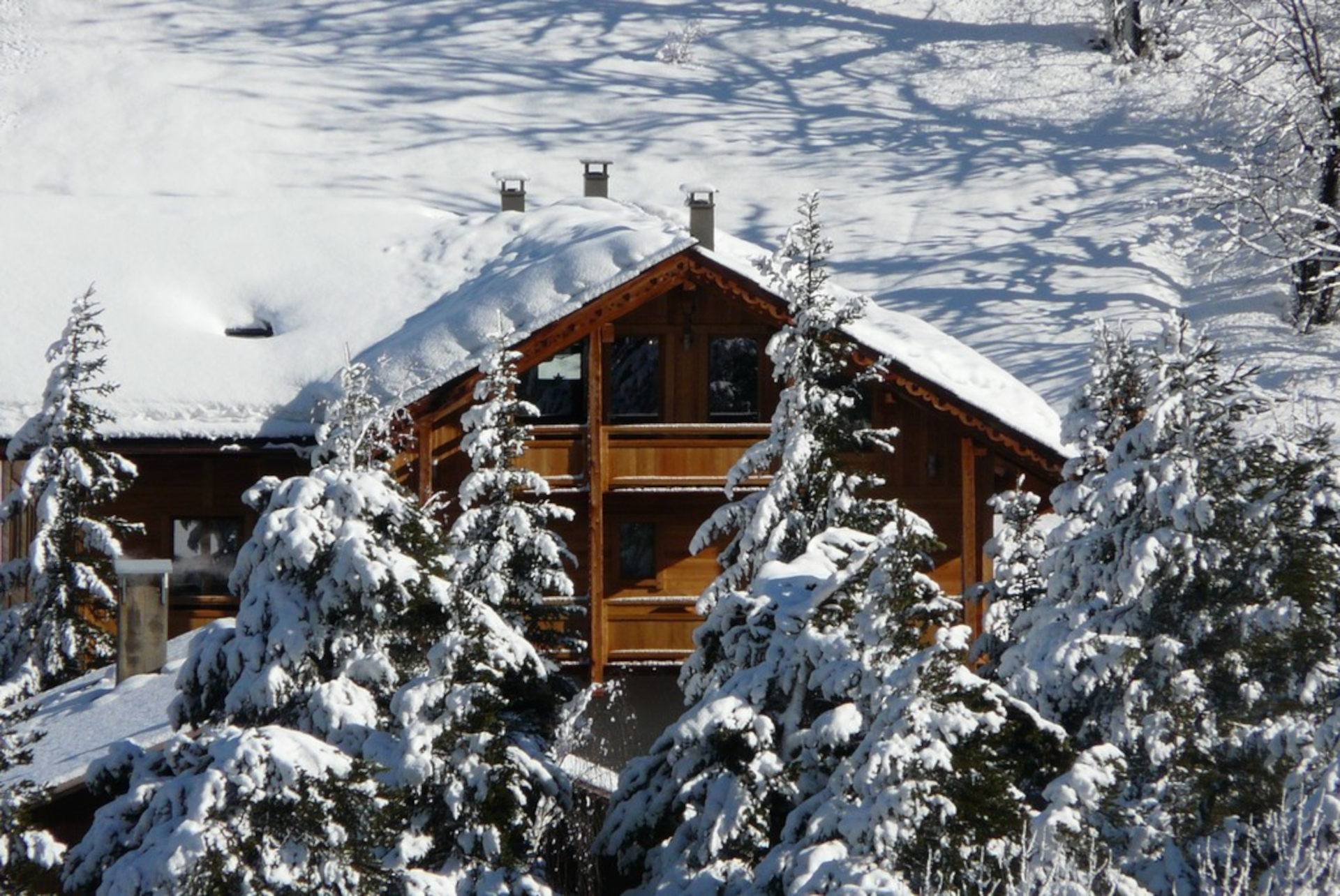 CHALET CERF CHE (DURA)_La Salle-les-Alpes