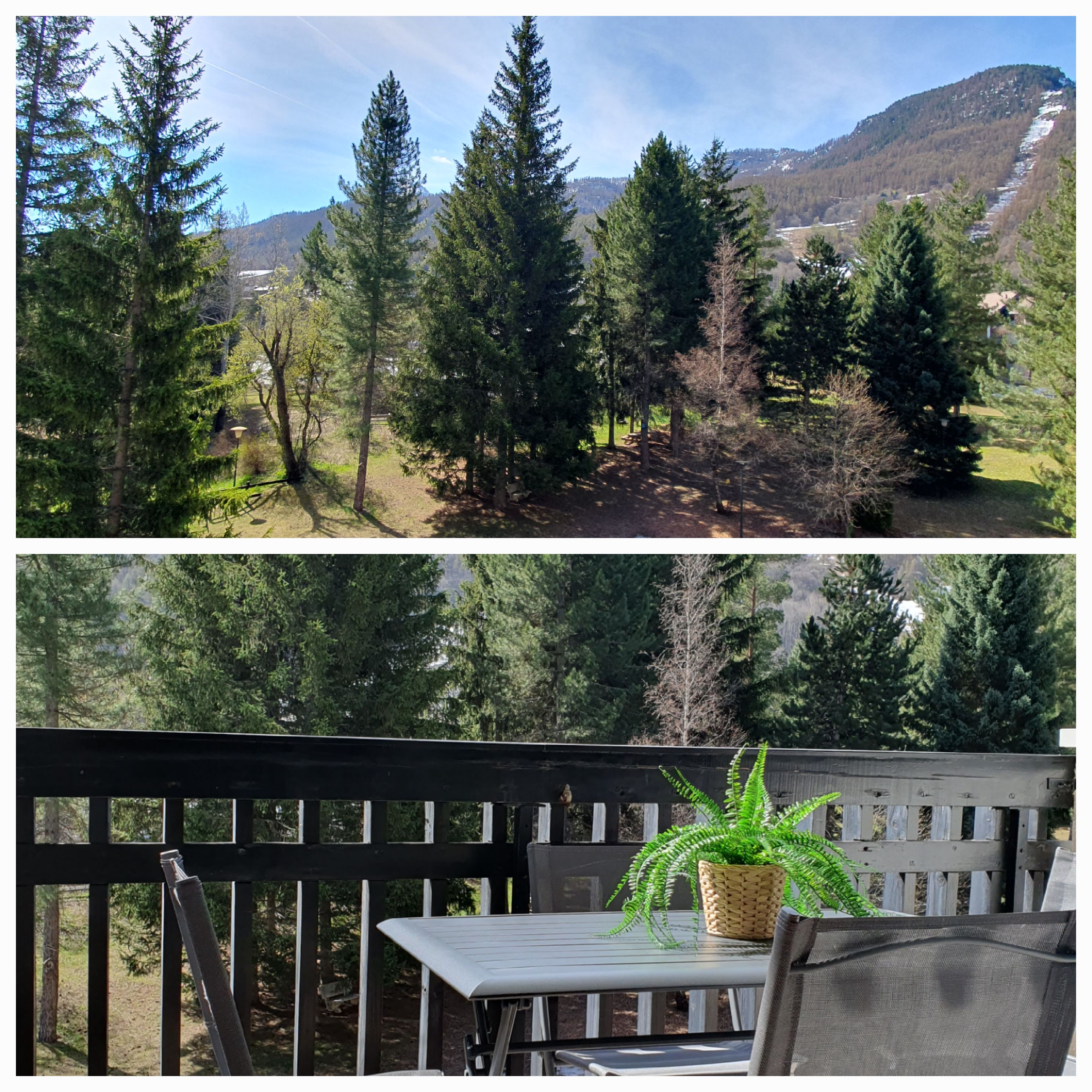 20260420-143627-10875814