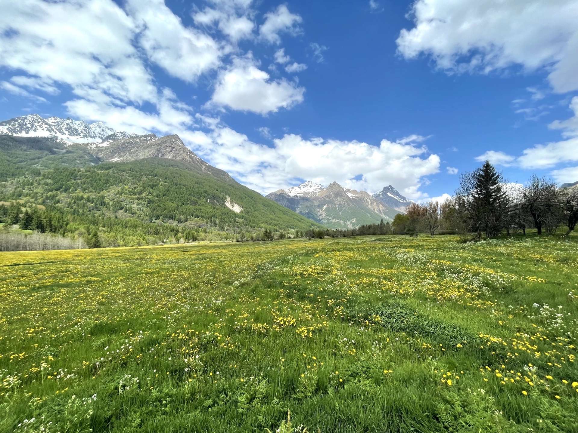 _clients_210524001_photos_11065p_10932342