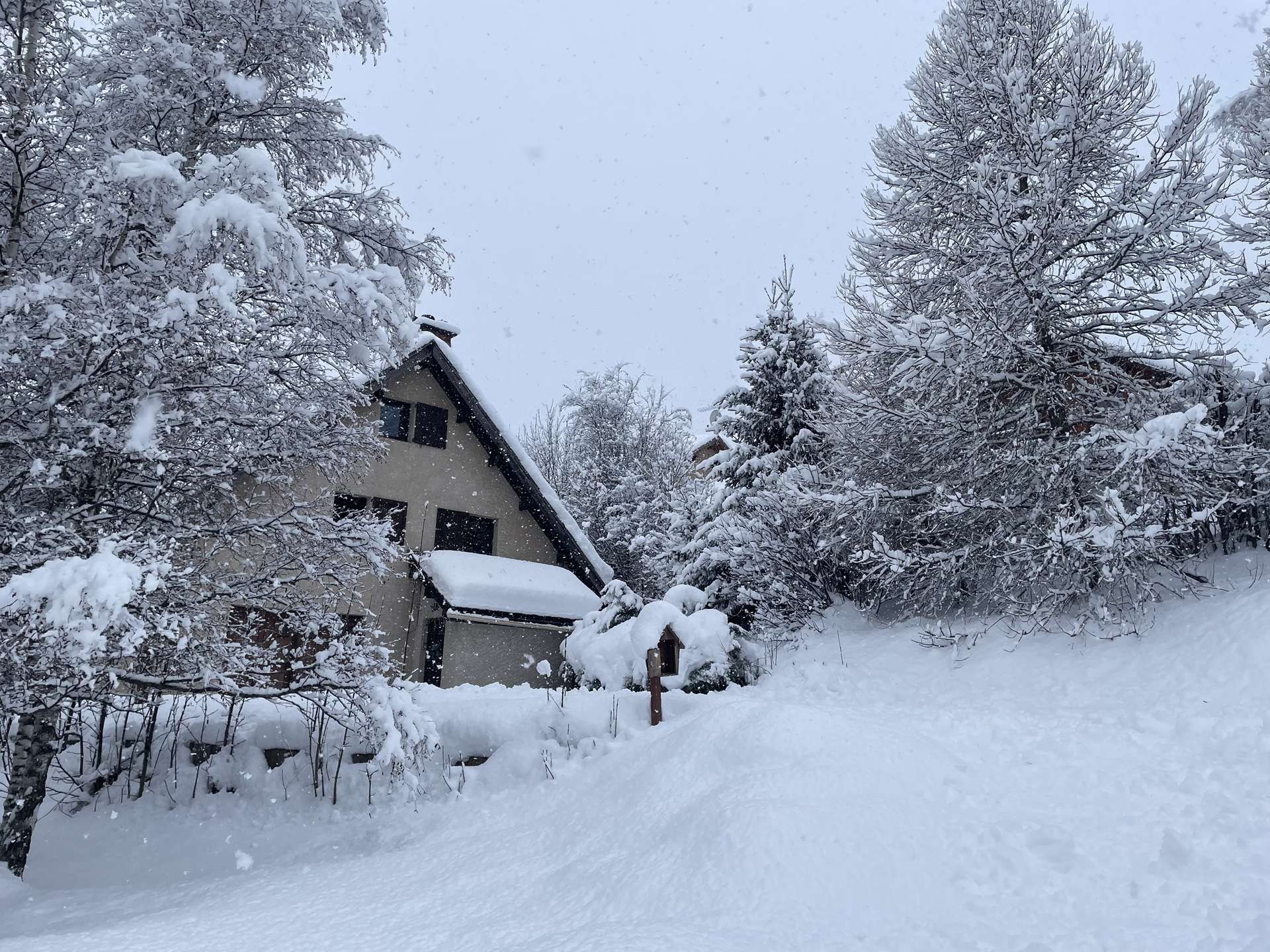 _clients_210524001_photos_26771y_10821368