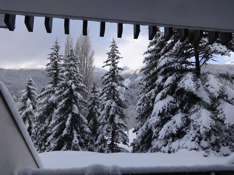 _clients_210533001_photos_141i_10524906