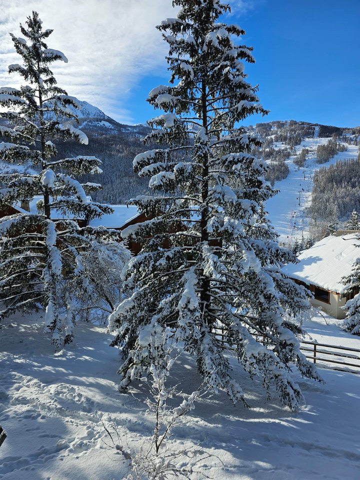 _clients_210533001_photos_241h_10031097