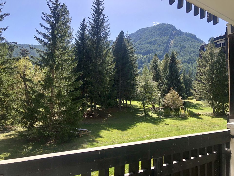 _clients_210533001_photos_33f_10860447