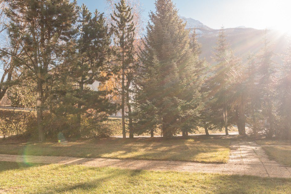 _clients_210533003_photos_11314m_10747084