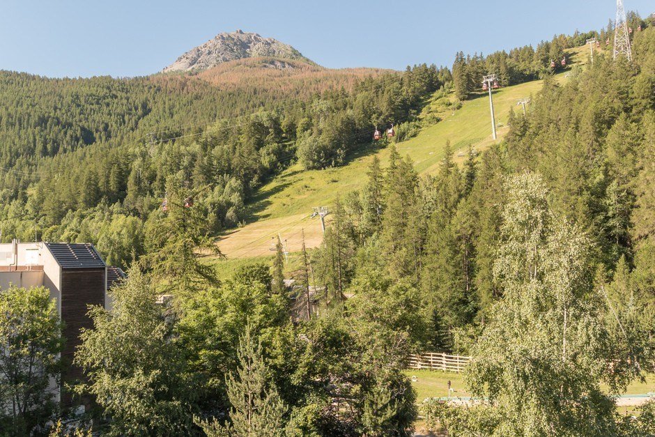 _clients_210533003_photos_11340x_10045136