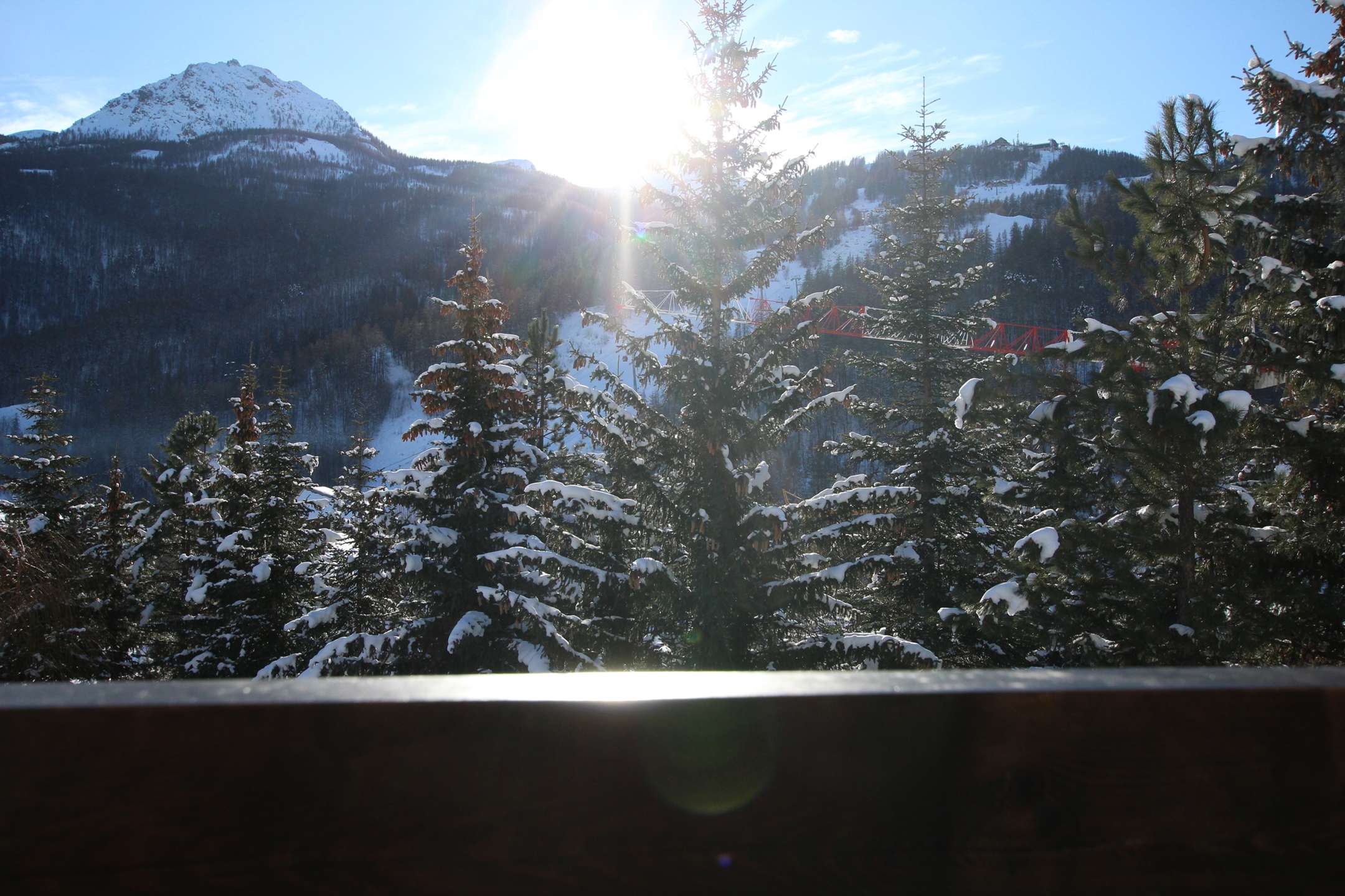 _clients_210533003_photos_11345r_10732113