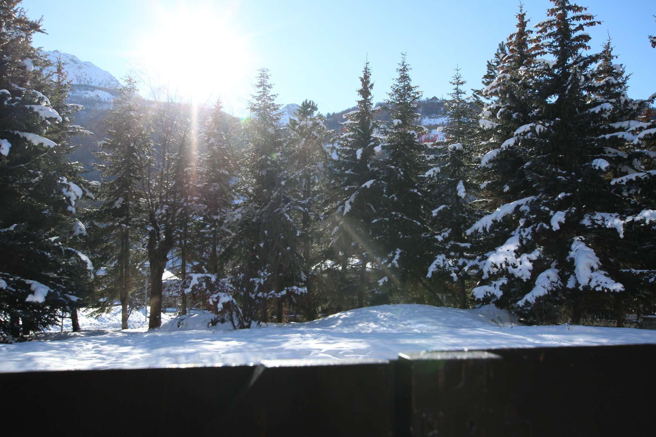 _clients_210533003_photos_12292l_9948232