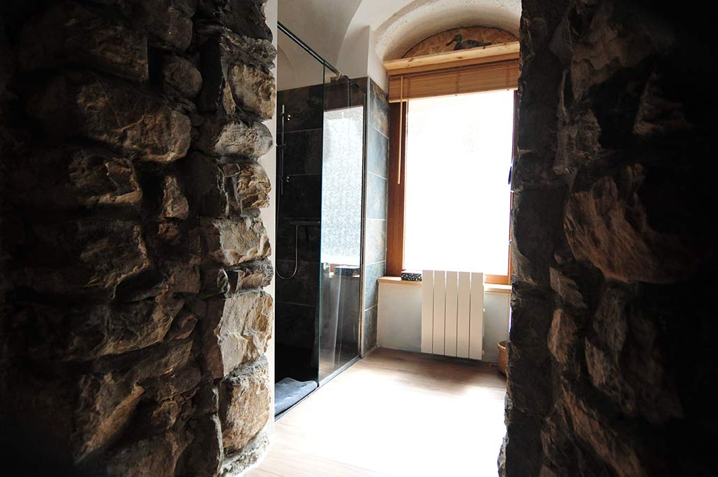 appartement-le-bidule-douche-1-hameau-le-bez-serre-chevalier-11618215