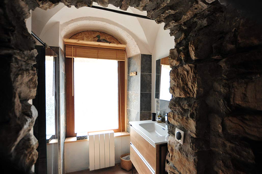 appartement-le-bidule-douche-2-hameau-le-bez-serre-chevalier-11618216