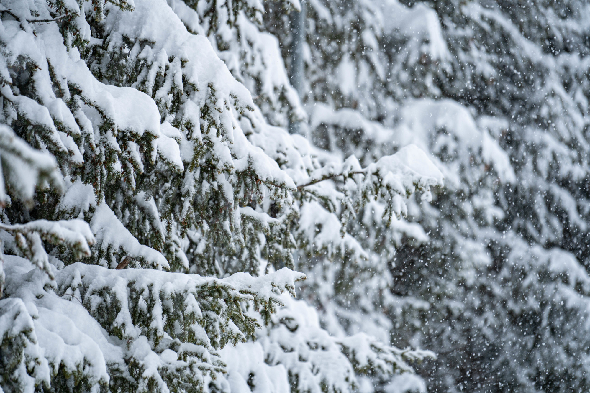 chute-de-neige-ot-serre-chevalier-briancon