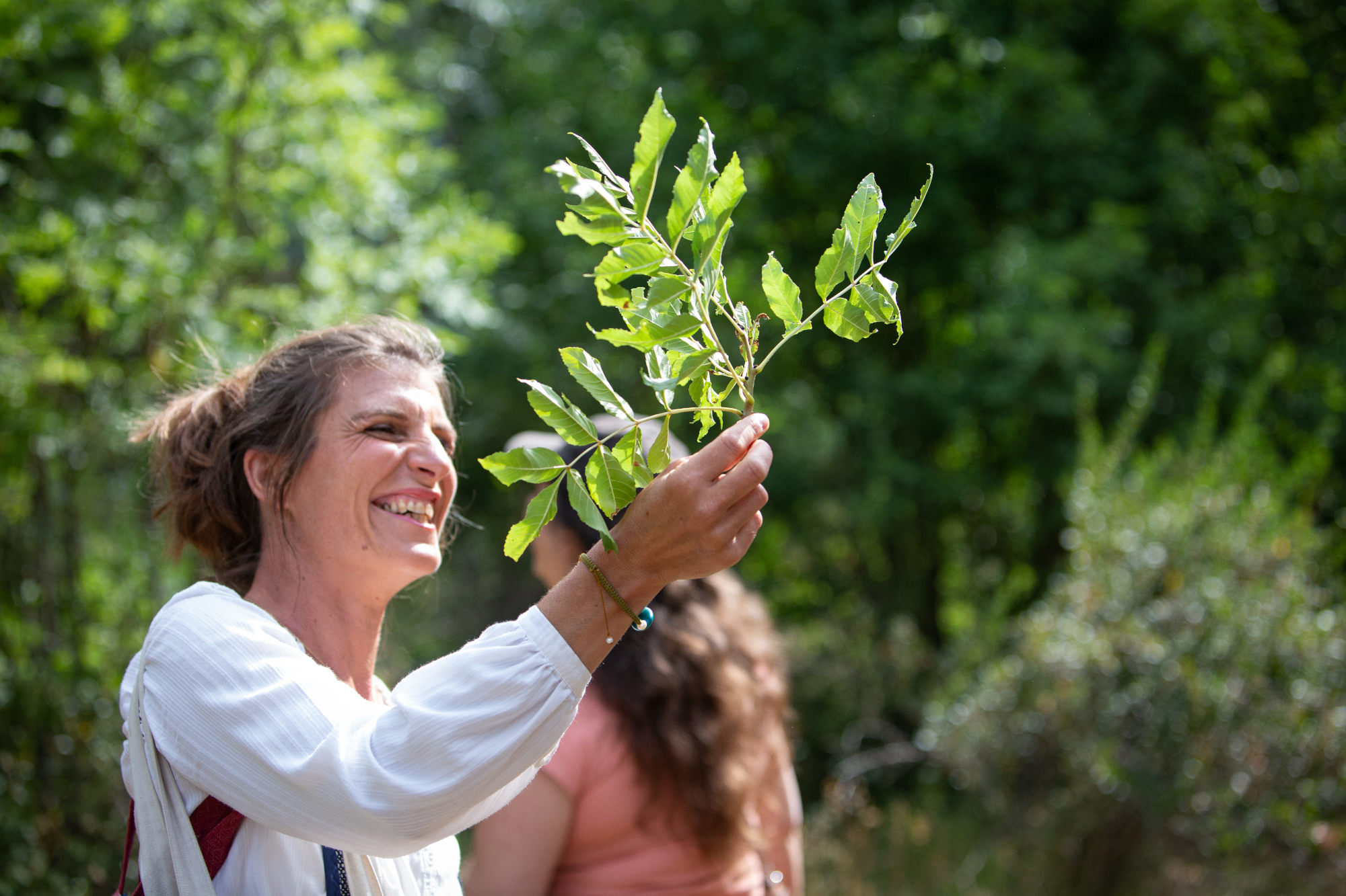 contes-a-marcher-debout-feuilles-arbres-serre-chevalier-marie-lachaud