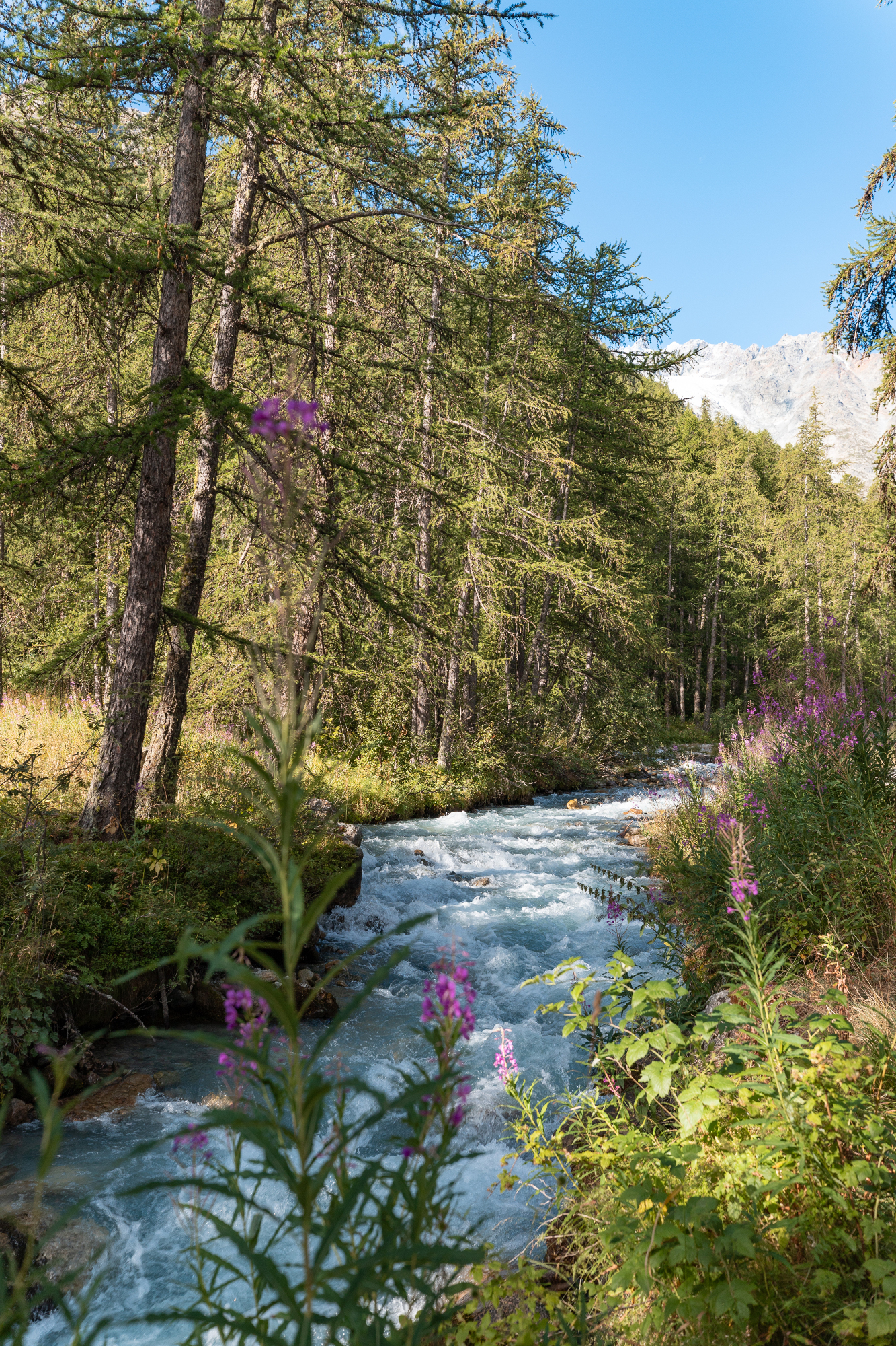 lac-de-la-douche-serre-chevalier-briancon-27-6315294