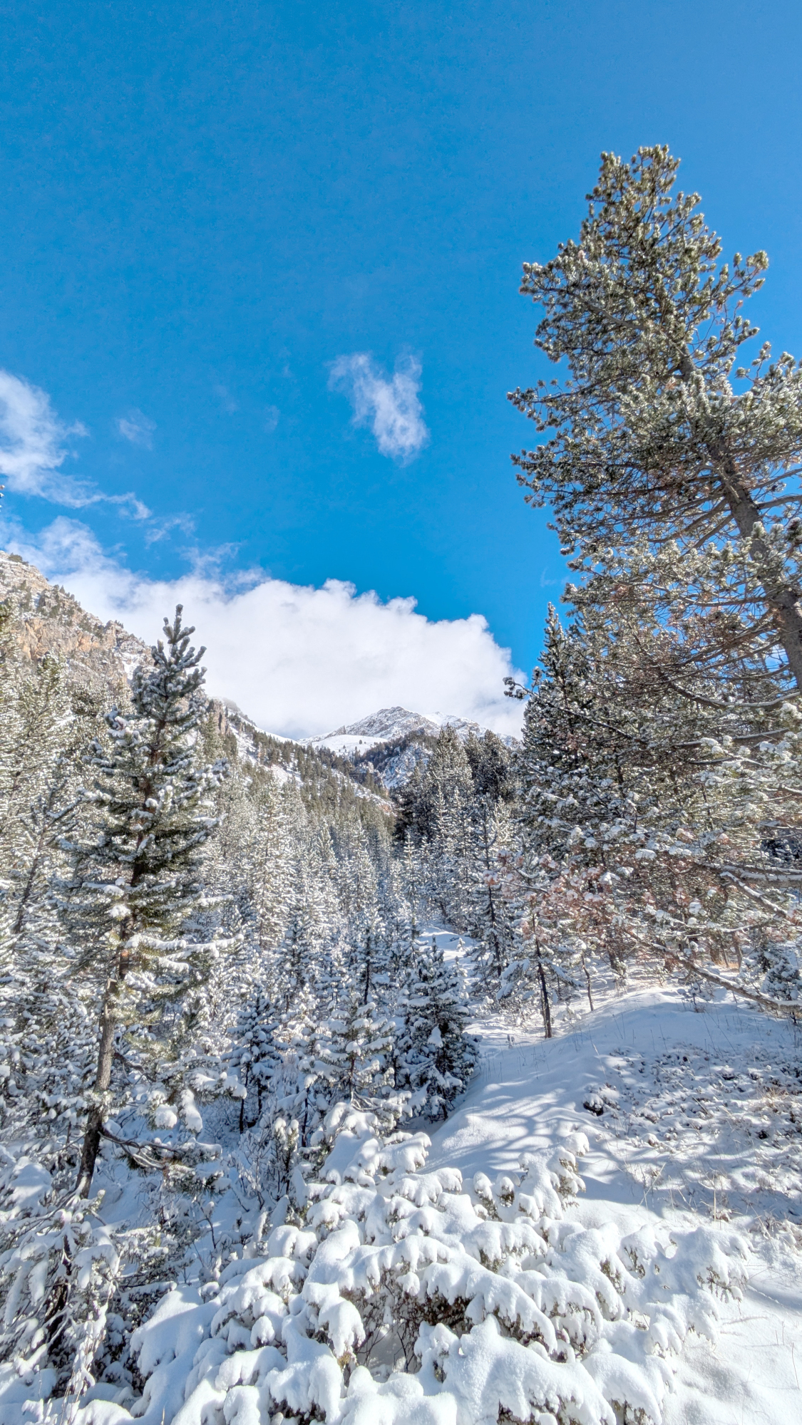 mountania-mountania-paysage-neige-raquettes-serre-chevalier-9820897