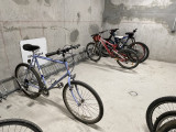 photo_1