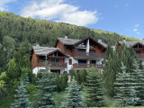 4-pieces-les-gentiantes-duh-exterieur-ete-serre-vchevalier-villeneuve-11333794