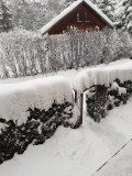 20211208_122119.jpg