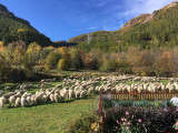 Chalet la Sellette
