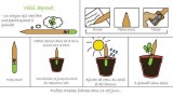crayonplantable01-1852541