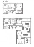 plan-crocus-11520870