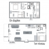 plan-myosotis-11520872