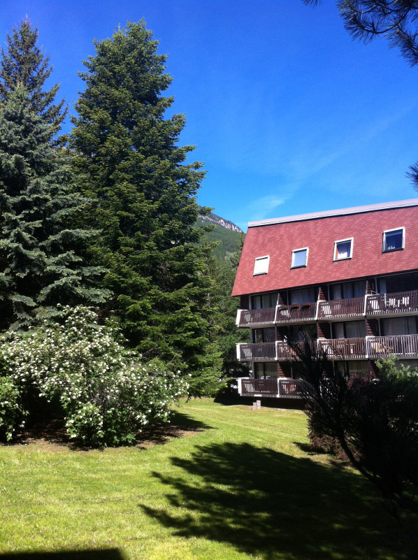 Dorlencourt Claire - L'Izoard