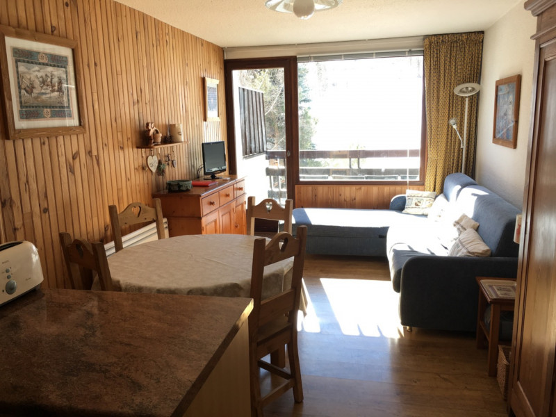 STUDIO CABIN AIGLE NOIR (JAN)_La Salle-les-Alpes