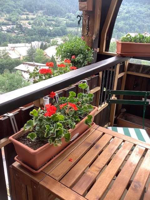 img_0259.jpg img_0259.jpg