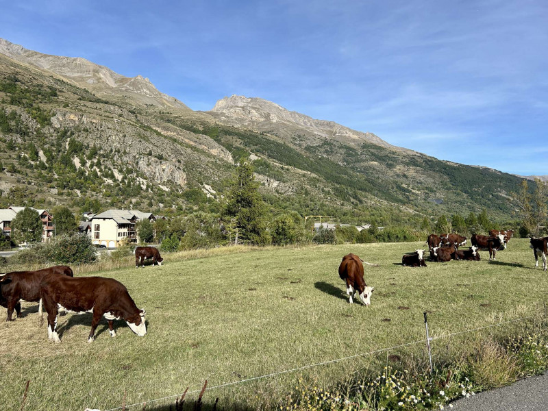 _clients_210524001_photos_11099t_10483506 _clients_210524001_photos_11099t_10483506