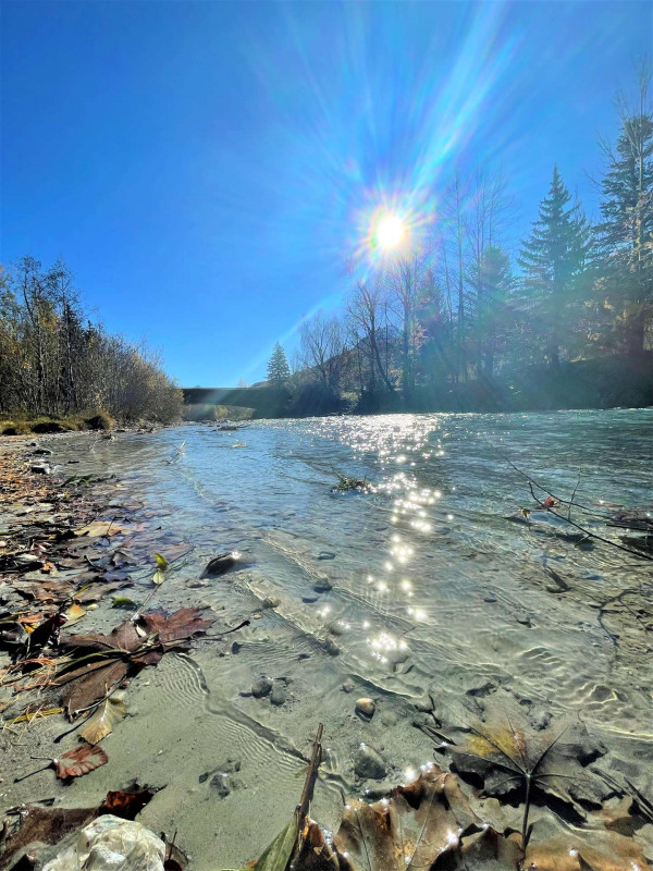 _clients_210524001_photos_11233r_10783810 _clients_210524001_photos_11233r_10783810