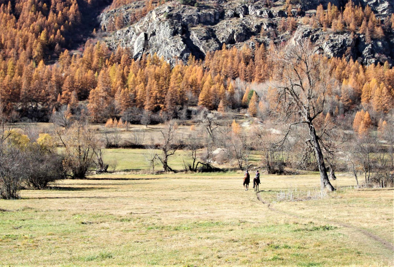 _clients_210524001_photos_12285w_9725983 _clients_210524001_photos_12285w_9725983