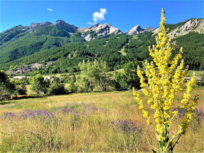 _clients_210524001_photos_17277j_3093215 _clients_210524001_photos_17277j_3093215