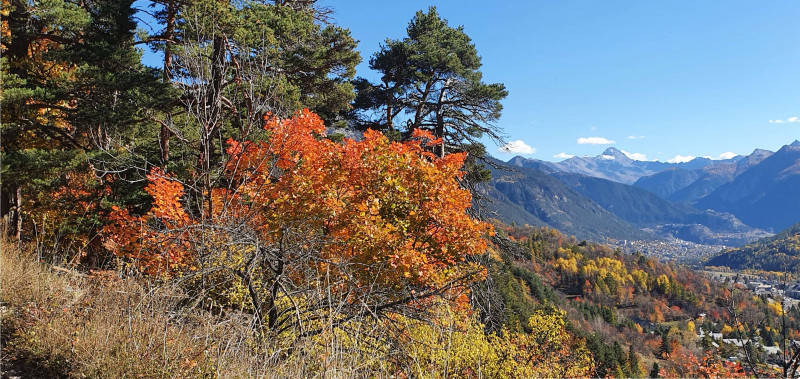 _clients_210524001_photos_18986x_7829460 _clients_210524001_photos_18986x_7829460