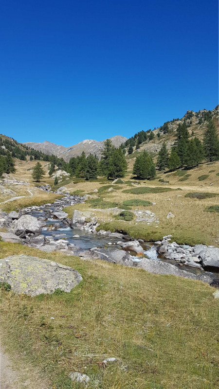 _clients_210524001_photos_18986y_7829461 _clients_210524001_photos_18986y_7829461