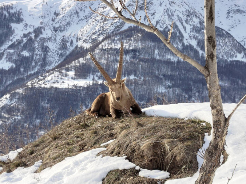 _clients_210524001_photos_20804m_9741293 _clients_210524001_photos_20804m_9741293