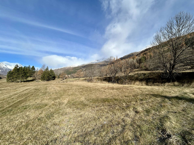 _clients_210524001_photos_26339t_10888630