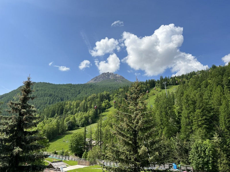 _clients_210533001_photos_233m_9691086