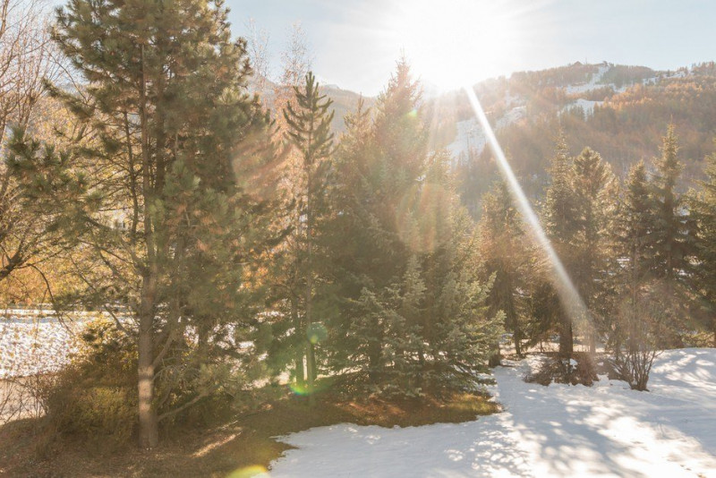 _clients_210533003_photos_11278q_9940078 _clients_210533003_photos_11278q_9940078