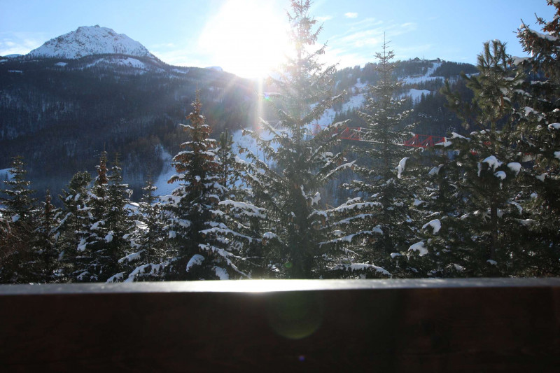 _clients_210533003_photos_11345r_10447443