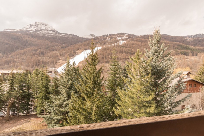 _clients_210533003_photos_11345u_11773813