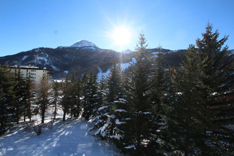 _clients_210533003_photos_11366m_10501359 _clients_210533003_photos_11366m_10501359