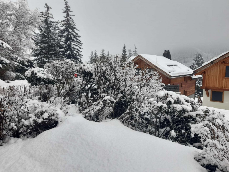 _clients_210533003_photos_23952k_10105214