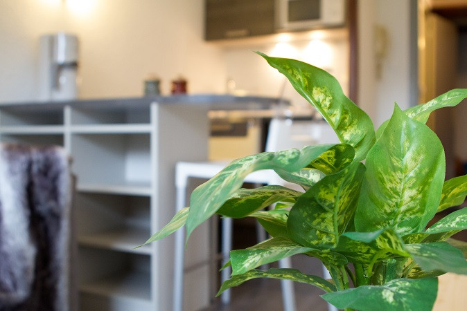 Intérieure Intérieure