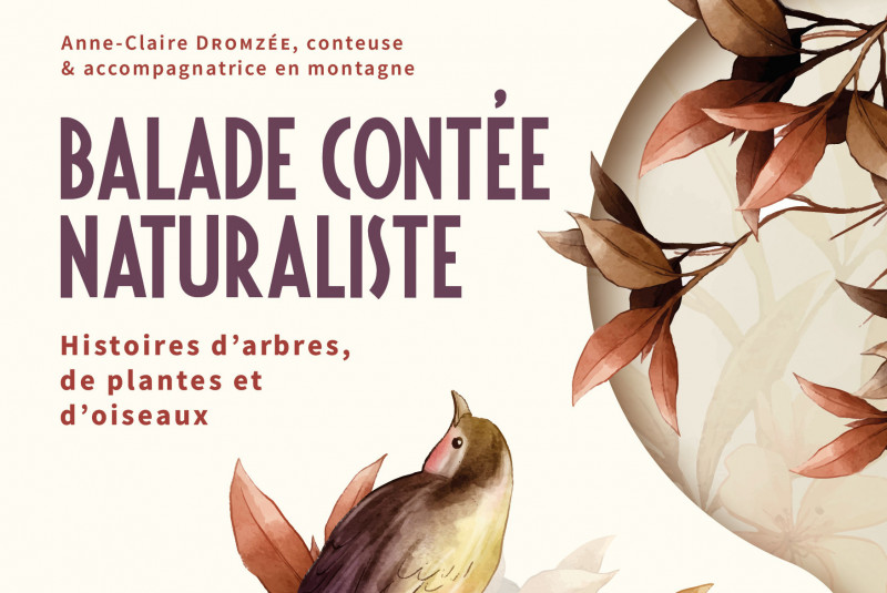 balade-contee-naturaliste-anne-claire-dromzee