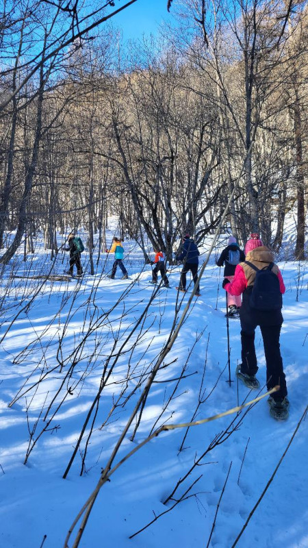 balade contee en foret en raquettes a neige a serre-chevalier balade contee en foret en raquettes a neige a serre-chevalier