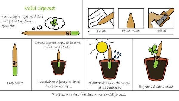 crayonplantable01-1852541